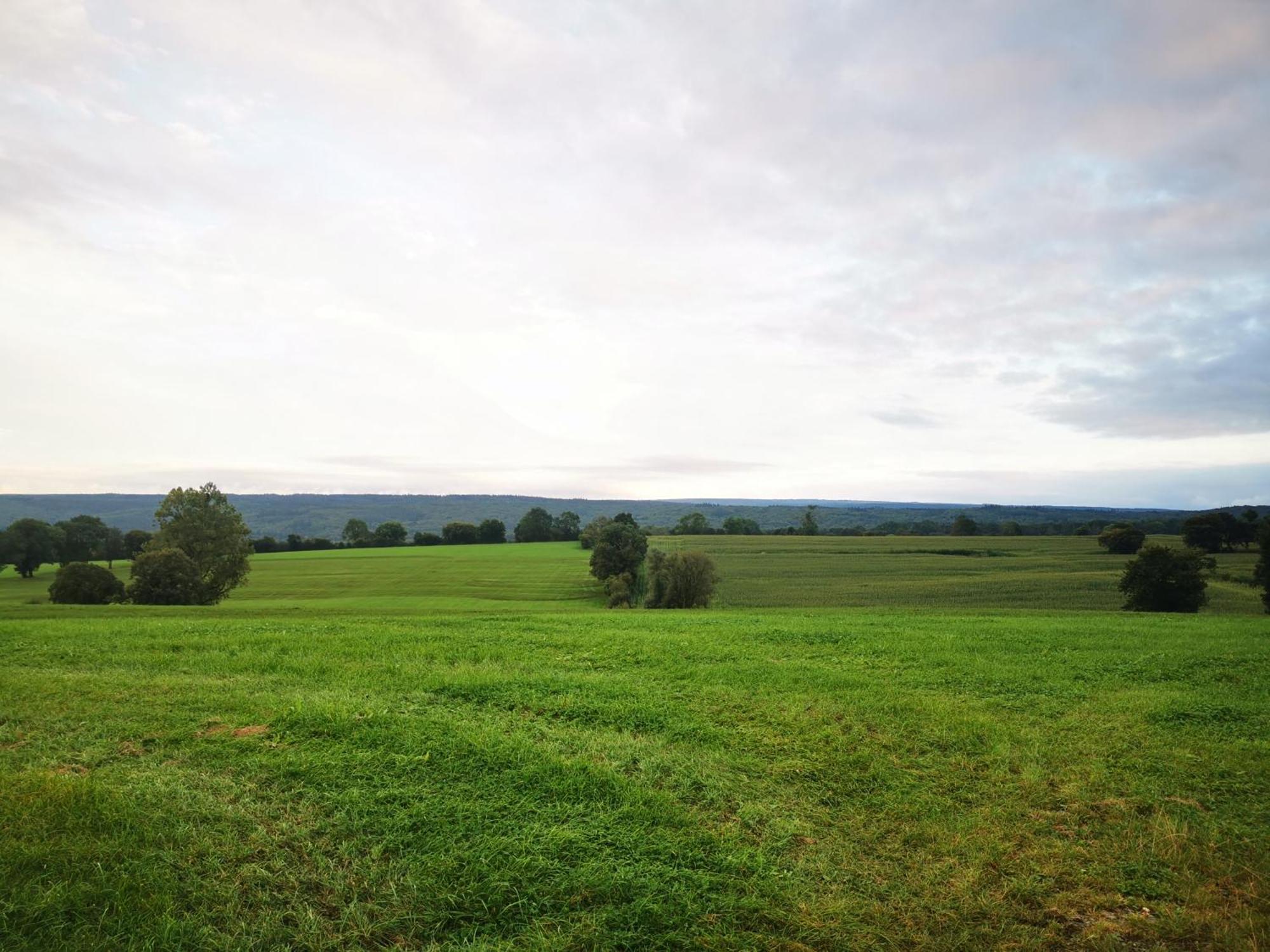 Studio Les Champs Baelen Экстерьер фото